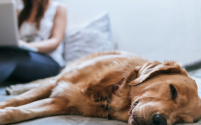 How can we self-care in challenging times?