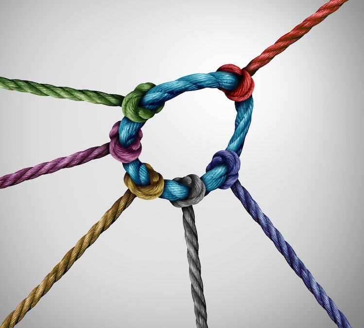 A strengths based approach to leadership