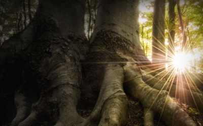 Beyond Friendship: Selecting Co-Founders for the Perfect Startup Synergy