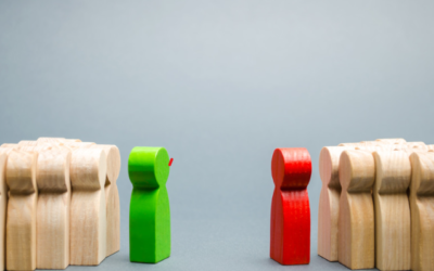 Leadership Team Coaching Case Study