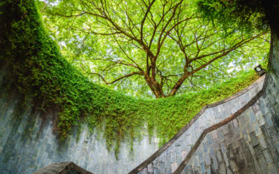 The Pillars of Employee Commitment: A Leader’s Guide to Fostering Loyalty and Engagement